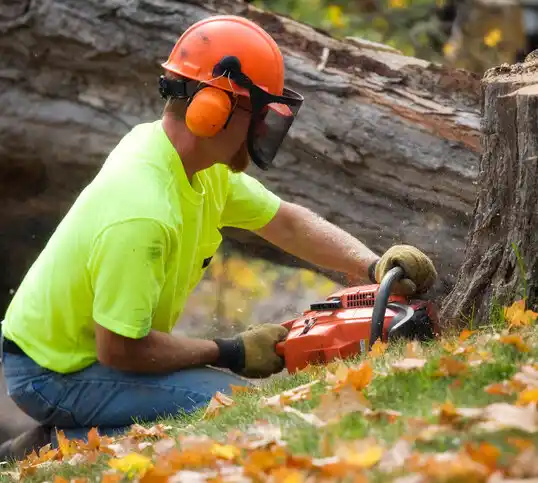 tree services McClure